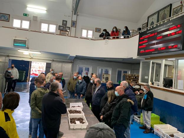 El precio del percebe resiste