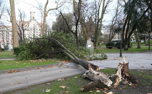 Un vehículo se sale de la vía en la A-66 a la altura de Cerdeño por culpa del temporal