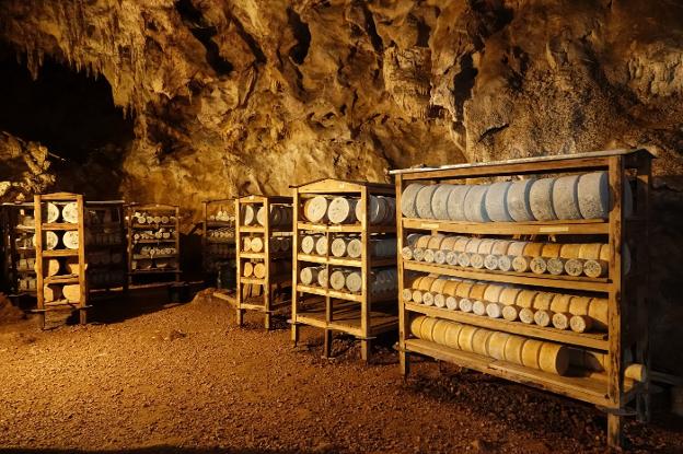 Quesos de mayor tamaño y más razas de ganado para modernizar el Gamonéu