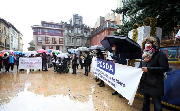 El Ayuntamiento de Oviedo propone que la antigua responsable de la perrera audite a la concesionaria actual