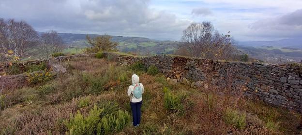 El Principado intervendrá en el castro allandés de San Chuis, «el gran olvidado»
