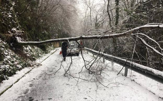La nieve no da tregua en el oriente, con varios pueblos cerrados y carreteras muy afectadas