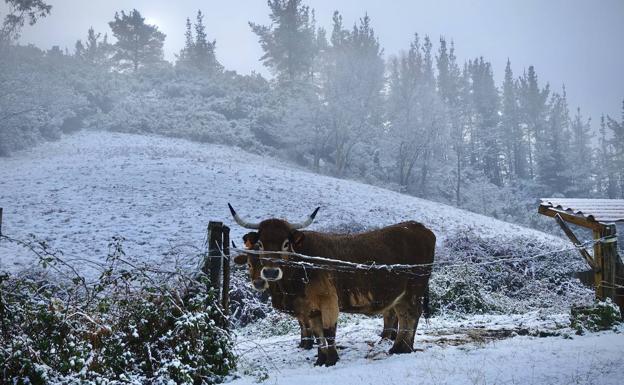 La llegada de los Reyes Magos comienza a despejar los cielos de Asturias