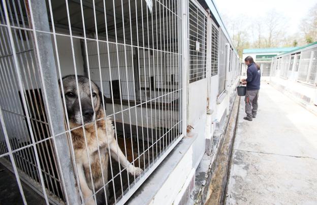 «No vamos a tolerar ni un solo despido en el albergue»