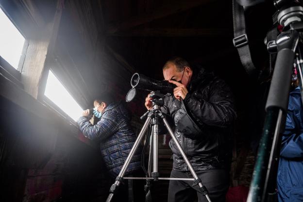 El temporal atrae a nuevas aves a la ría