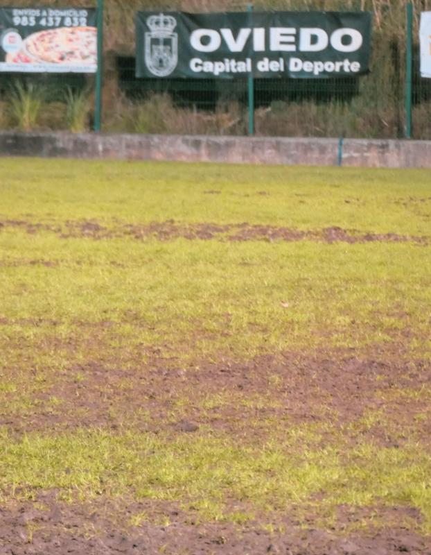 A vueltas con el campo de El Naranco