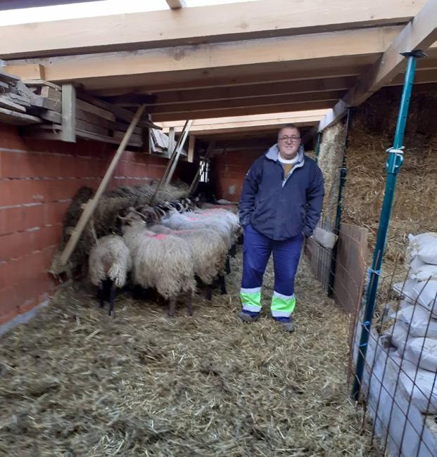 «Lo dejo: desde la primavera los lobos me mataron treinta ovejas y seis xatos»