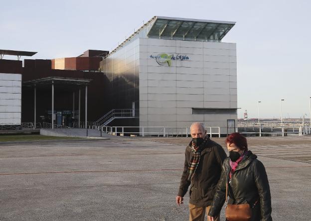 El Acuario aspira a erigirse en «una referencia en Europa» con una reforma de 20 millones de euros