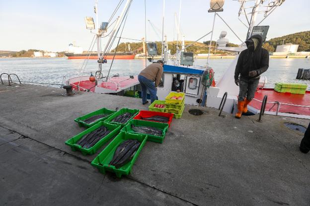 Año de récord en la lonja avilesina con casi 18 millones de kilos subastados