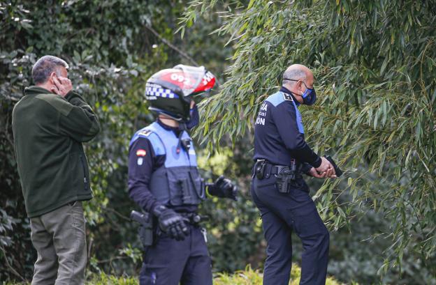 La Policía Local abate a un jabalí que campaba por Viesques en pleno día