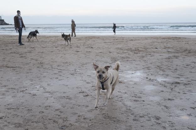 «'Trufa' se tragó varios anzuelos, la playa es un verdadero riesgo»