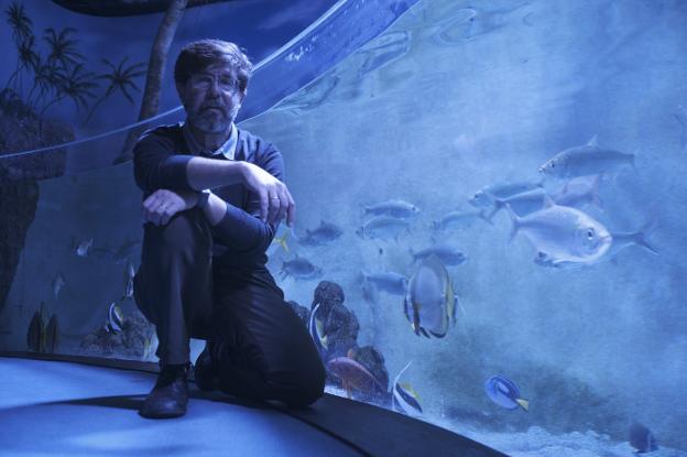 El Ayuntamiento dice que el zoo del Acuario «no es prioritario, tan solo una idea de la empresa»