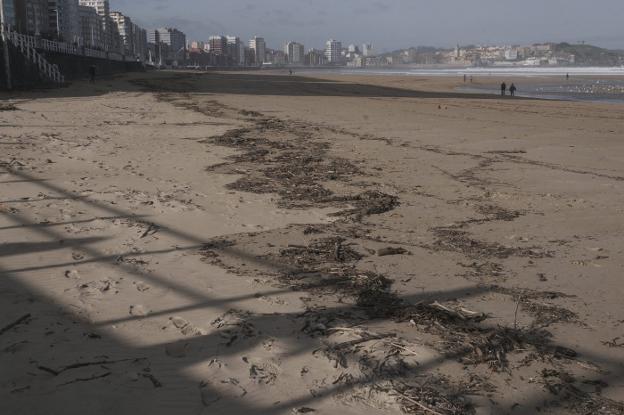 «Con este temporal es imposible»