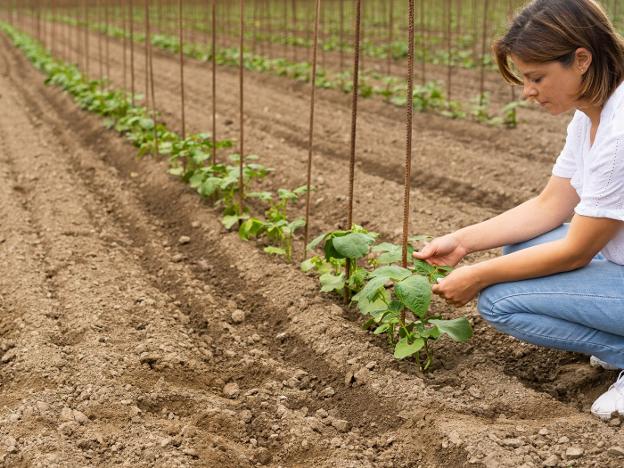 «A la hora de emprender en la zona rural, hay oportunidades y carencias a partes iguales»