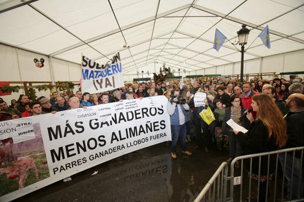 Barbón defenderá «donde haga falta» los controles del lobo