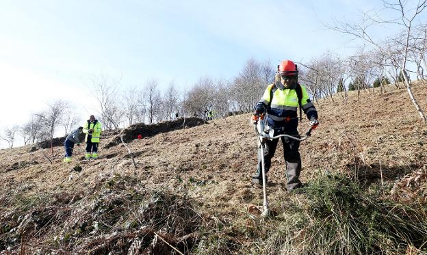 El Ayuntamiento de Oviedo recupera cien kilómetros de sendas en El Naranco