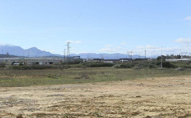 Cofiño, sobre Amazon: «El Gobierno no hace ascos a ningún empleo en Asturias»