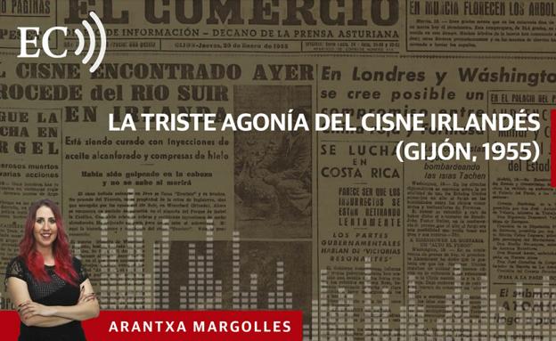 Podcast: La triste agonía del cisne irlandés (Gijón, 1955)