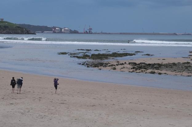 El estudio de El Musel señala que el carbón que se derrama en sus aguas no sale del puerto
