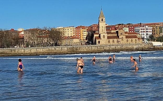 Eclosión veraniega en San Lorenzo