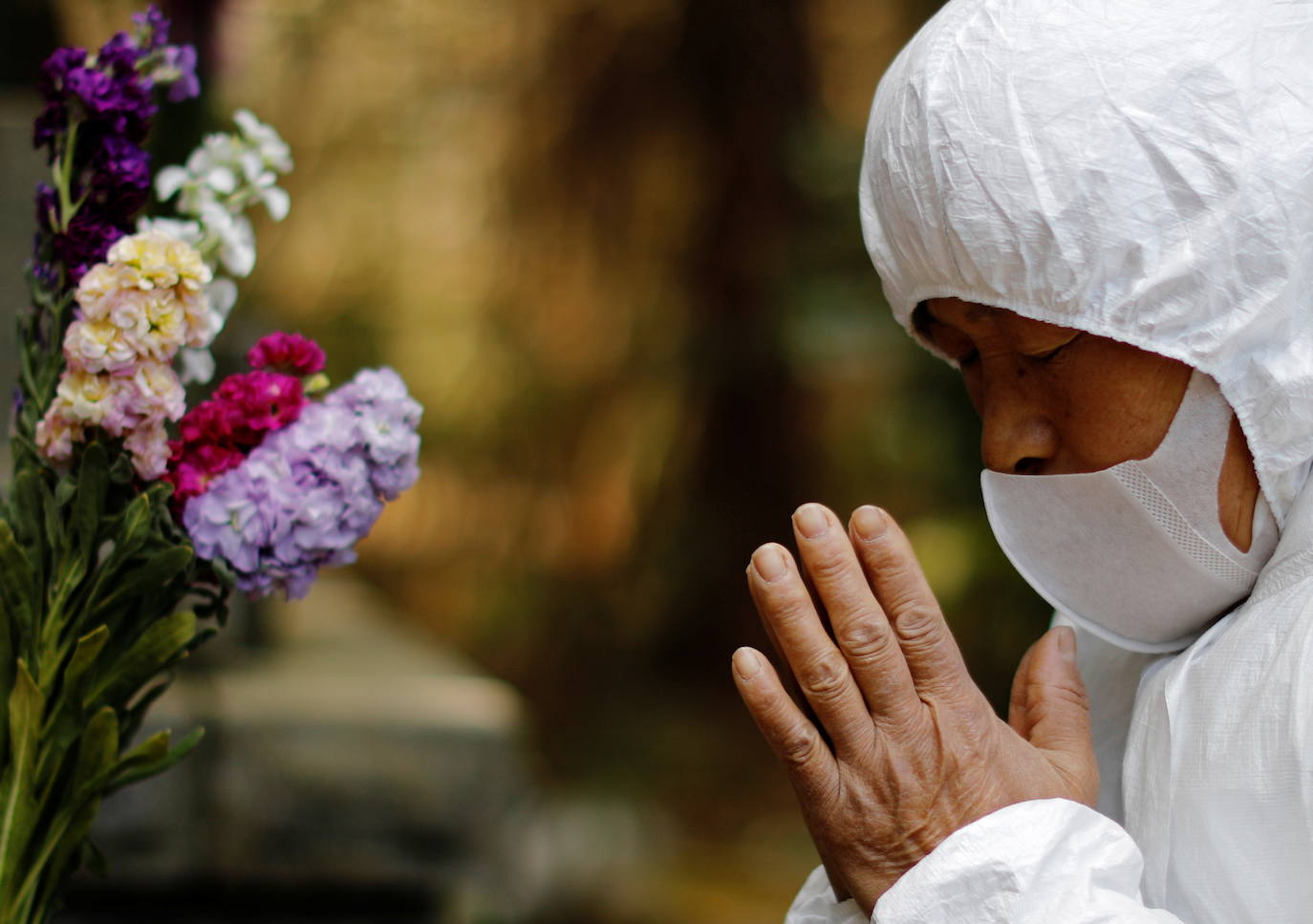 El hombre que rescata gatos en la soledad de Fukushima