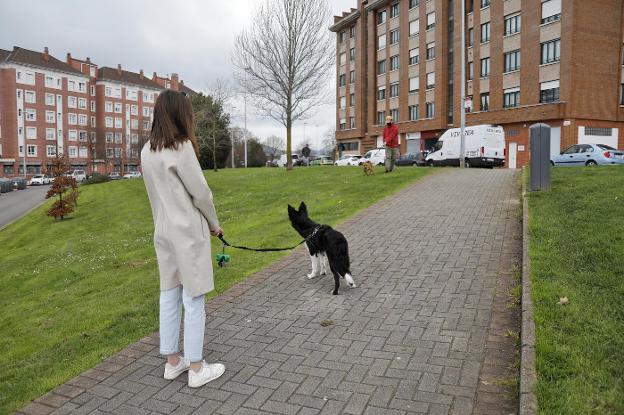 «El problema no es la ley sino los dueños que la incumplen»