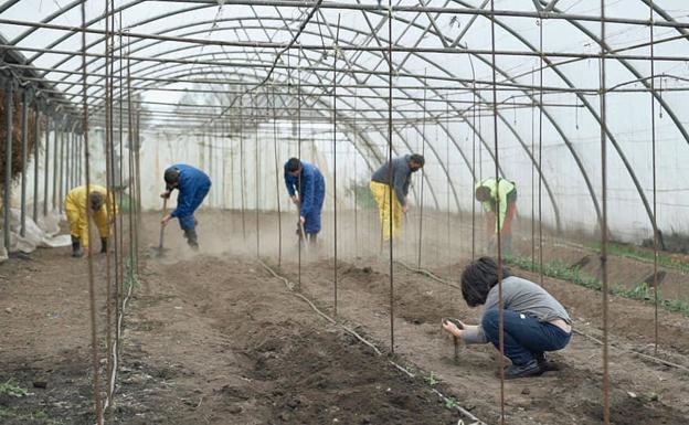 El proyecto Itinerarios Integrados de la Fundación Edes se desplaza a Boal