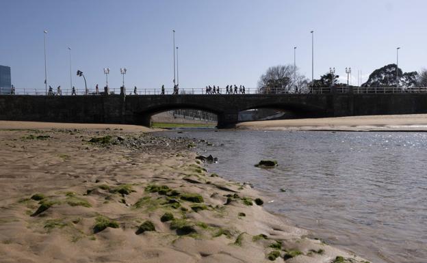Dos informes centran en el anillo navegable los problemas ecológicos del río Piles