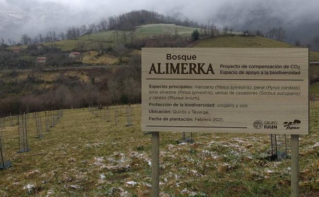 Apuesta por la sostenibilidad: plantación de 3.600 árboles autóctonos para reducir su huella de carbono