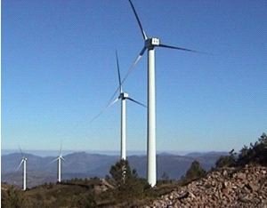 «Las evidencias sobre el impacto de los eólicos son aplastantes», dicen los expertos