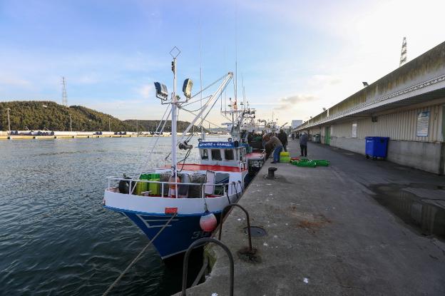 La flota aguarda la llegada de los bancos de xarda para iniciar la campaña