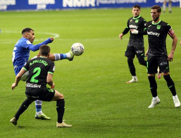 Real Oviedo | El césped del Carlos Tartiere mejora y deja de ser un quebradero de cabeza