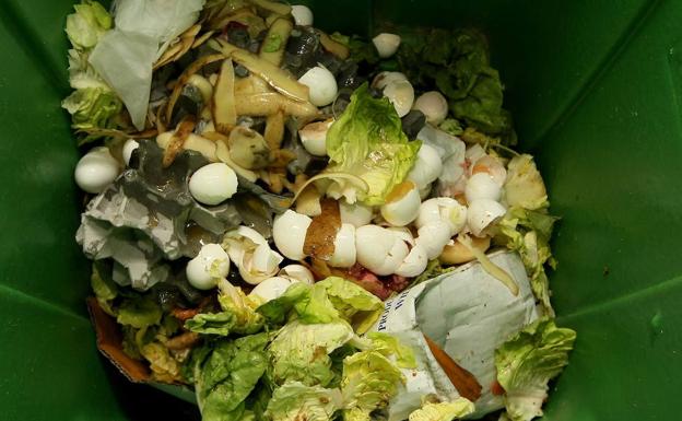 Casi una quinta parte de los alimentos del planeta acaba en la basura