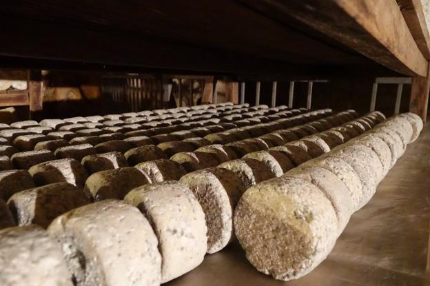 La producción de Gamonéu cae en 17.000 kilos por la crisis