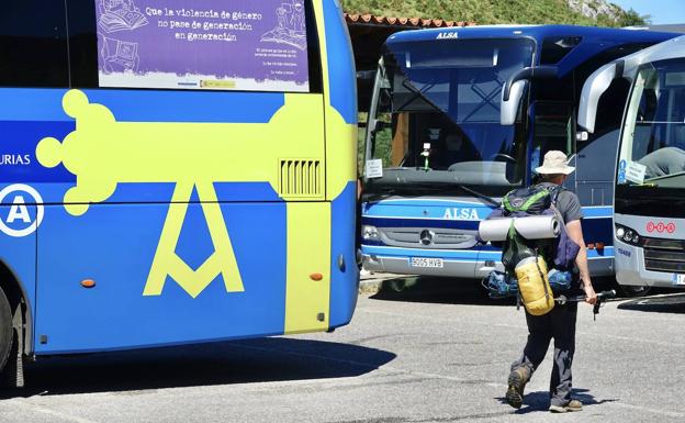 ALSA perdió 105 millones en 2020 por la caída de viajes provocada por la pandemia