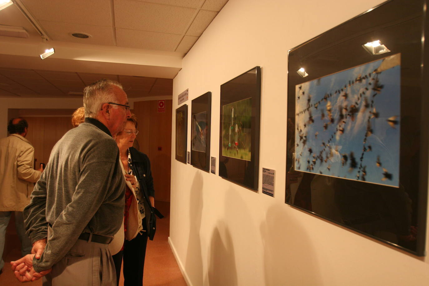 El Centro Municipal de Arte y Exposiciones de Avilés regresa con una muestra de 'Homenaje a Orlando Pelayo'