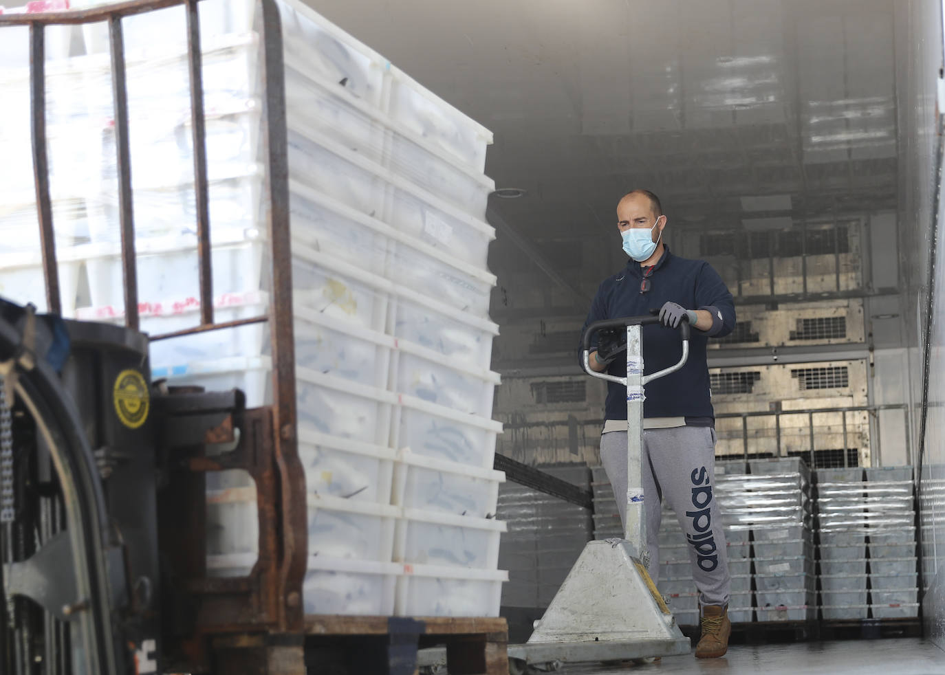 La xarda llega a El Musel