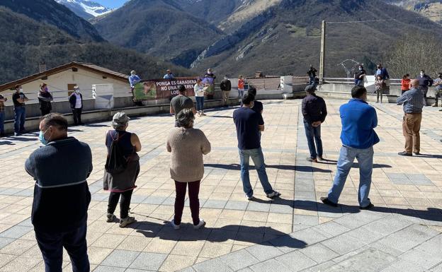 Ponga clama contra la protección del lobo