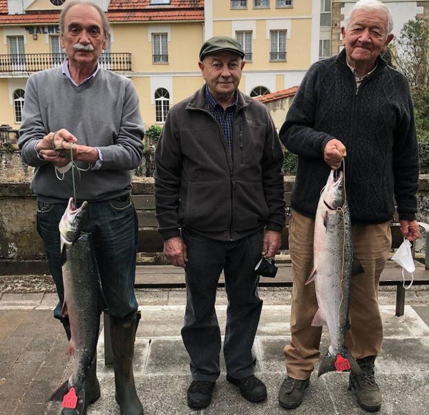 Un médico de Santander echa a tierra el campanu de Cantabria