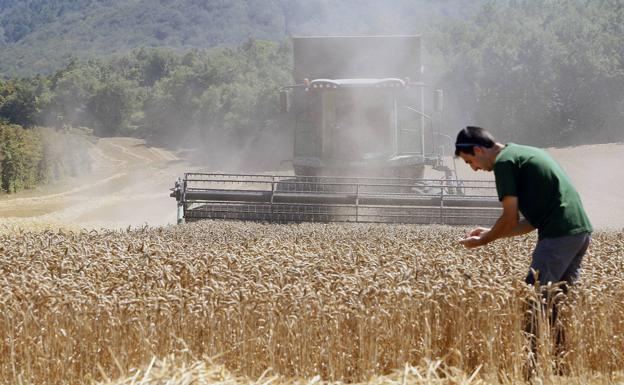 Nuevas herramientas para profesionalizar la agricultura más próxima