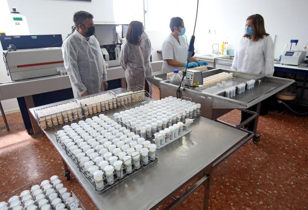 El campo asturiano recibirá 96 millones en ayudas de la PAC, «una cifra histórica en recursos»