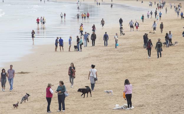 Gijón contará con tres nuevas zonas de esparcimiento para perros sueltos