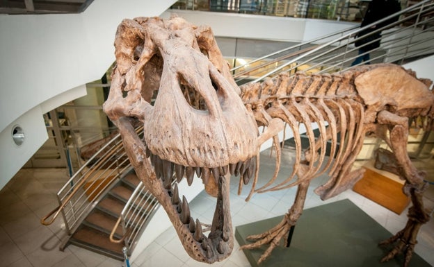 Unos 2.500 millones de 'Tyrannosaurus rex' habitaron la Tierra