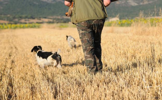 Medio Rural triplica el importe de las ayudas destinadas a las sociedades de caza