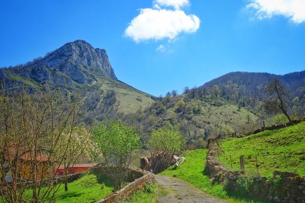 Ponga propone arreglar una pista desde Viego como acceso de emergencia a Viboli