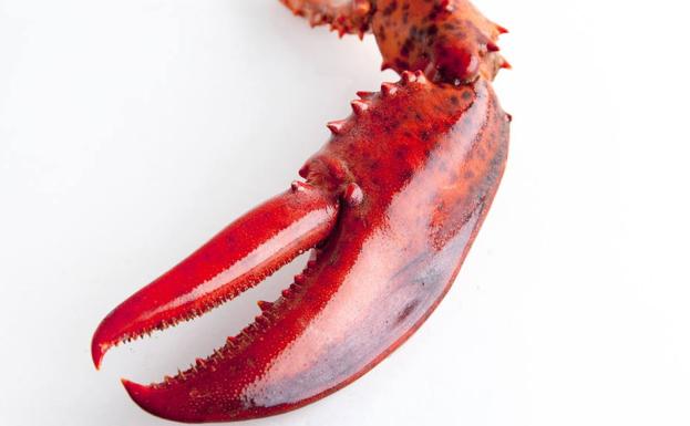 Sanidad emite una nueva alerta alimentaria por un error de etiquetado