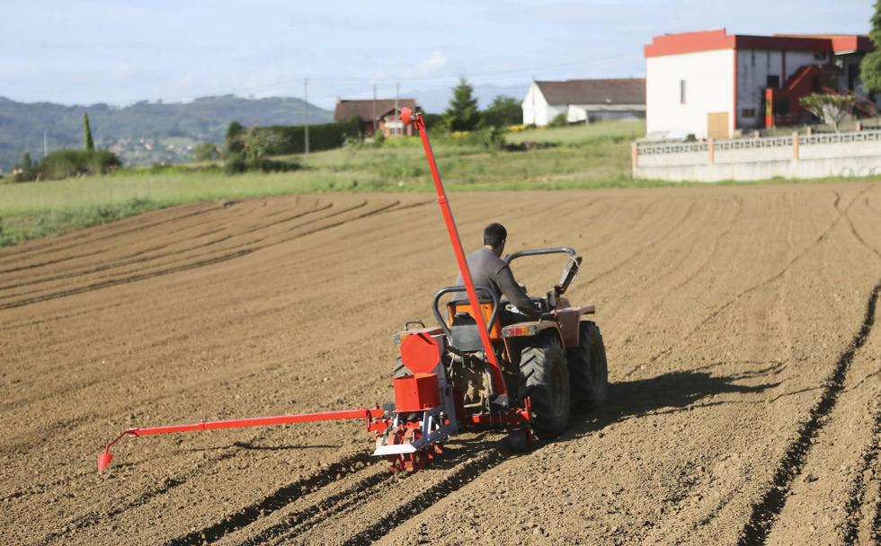 El Principado autoriza un gasto de 105 millones de euros en ayudas de la PAC