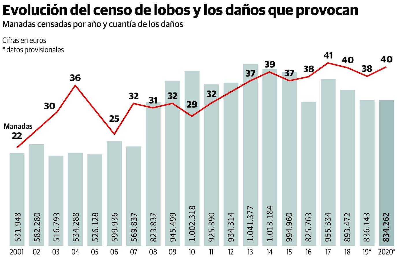 El lobo generó daños por 16 millones de euros desde 2001 en Asturias