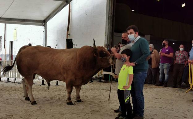 Salas celebra su certamen ganadero online