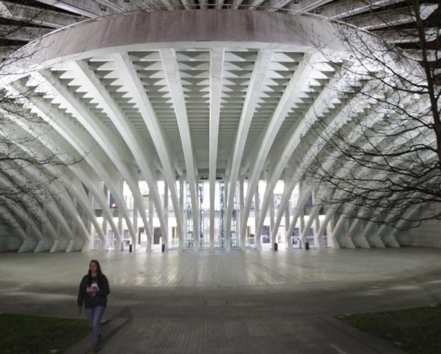 El juzgado autoriza la venta «sin precio mínimo» del centro comercial del Calatrava